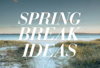 20 Spring Break Ideas to Explore the South